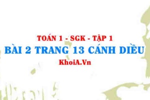 Bài 2 trang 13 Toán 12 tập 1 Cánh Diều